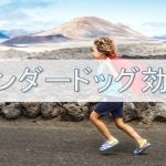 行動心理学 アンダードッグ効果