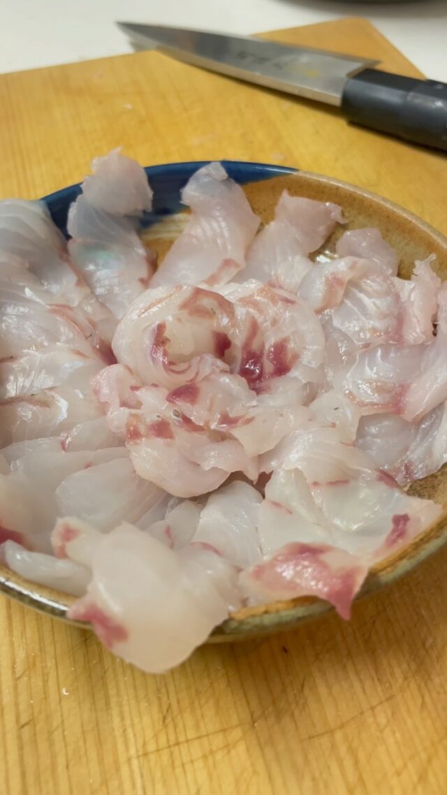 【義父が釣ってきたヒラメを捌いてみました。】

ヒラメなんて捌いたことがないので、
どうやって捌くんだろうとYoutubeで予習しました。

魚を捌くと聞くと、
3枚下ろしが頭に浮かぶと思うのですが
ヒラメって5枚下ろしになるんですねー

工程が多いなとか思いながら
いざ捌いてみると簡単でした。

内臓を取る時は、
背骨の位置を間違えて
内臓を切ってしまったので血が溢れてしまいましたが、
背骨を先に切ってから内臓を取ると綺麗に取れるみたいでした。

なるほどー

皮を剥ぐのも
アジなどと比べて皮が分厚いので
綺麗に剥げました。

昔から魚を捌けたんですか？
と聞かれるのですが、
正直、そんなに捌いたことはありません。

学生のころアルバイトで包丁は使っていましたが
魚を捌く機会はそんなになかったです。

「気まぐれキッチン」という
魚を捌くYoutuberさんがいて
その動画を観漁っていた時期があるので
手順などはそれで覚えたんでしょうね。

とはいえ、
魚を捌くのが好きだということがわかったのと、
意外と難しそうな魚も手順がわかれば捌ける。

細かい鱗はアルミタワシで取れる。
部屋中が魚の匂いになる。

その匂いで
魚を食べるのに気持ち悪くなる。

というわけで、
たくさん魚を捌いたので、
欲しい方連絡ください。

持って行けそうなら持って行きます。

では！